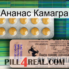 Ананас Камагра 41